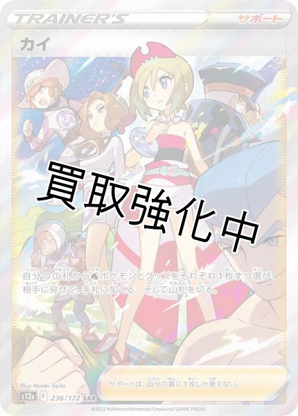 画像1: カイ　SAR(236/172) (1)