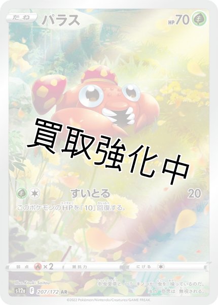 画像1: パラス　(1)AR(207/172) (1)