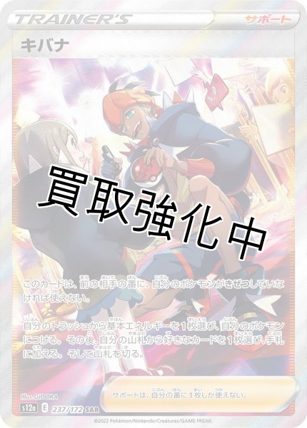 画像1: キバナ〈SAR〉(237/172) (1)