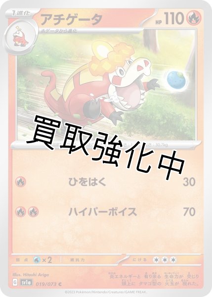 画像1: 【収録不問】アチゲータ【C】 (1)