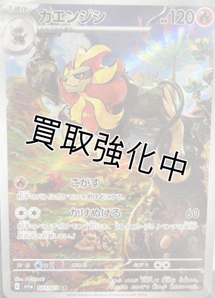 画像1: 【状態B】カエンジシ【AR】[sv1a](077/073) (1)