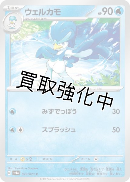 画像1: 【収録不問】ウェルカモ【C】 (1)