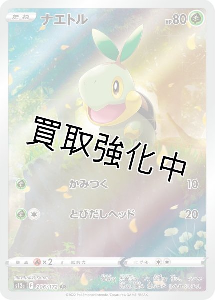 画像1: ナエトル(1)〈AR〉(206/172) (1)