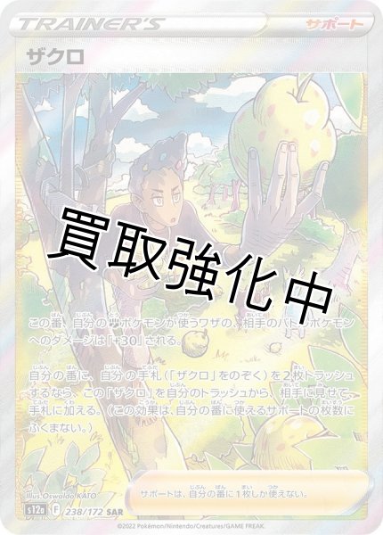 画像1: ザクロ【SAR】{238/172} [S12a] (1)