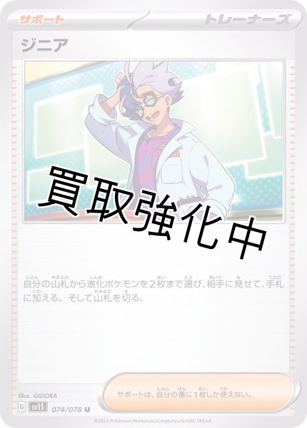 画像1: 【状態B】ジニア【収録不問】 (1)