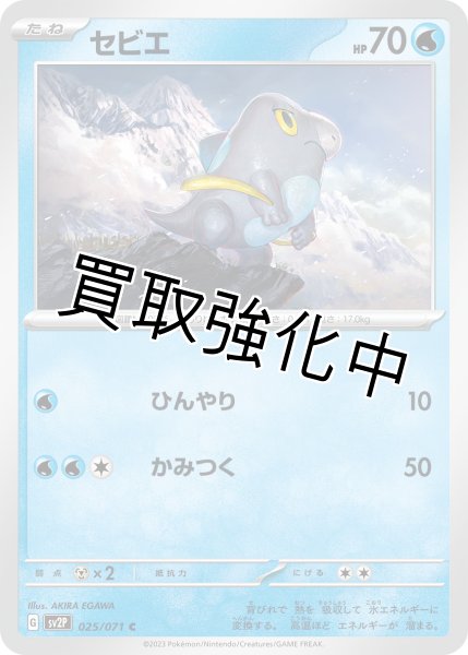 画像1: セビエ【C】{025/071} [sv2p] (1)