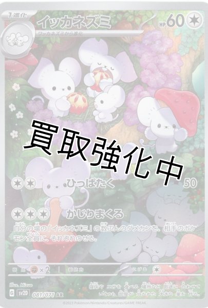 画像1: イッカネズミ【AR】{081/071} [sv2D] (1)