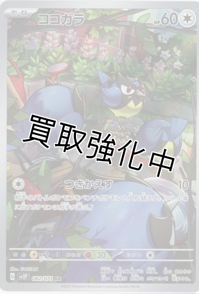 画像1: ココガラ【AR】{082/071} [sv2p] (1)