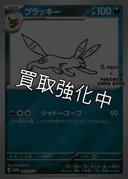 画像1: 【PSA10鑑定済】 ブラッキー(YU NAGABA)【P】{067/SV-P} [SV-P] (1)