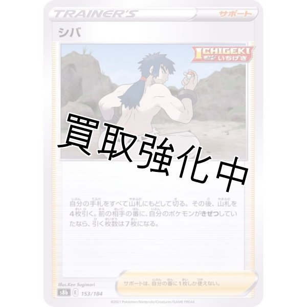 画像1: 【収録不問】シバ【-】 (1)