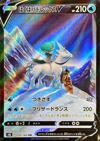 画像1: はくばバドレックスV【CSR】{220/184} [S8b] (1)