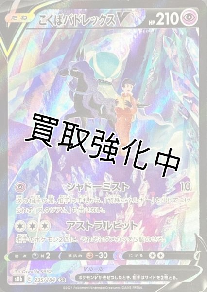 画像1: こくばバドレックスV【CSR】{235/184} [S8b] (1)