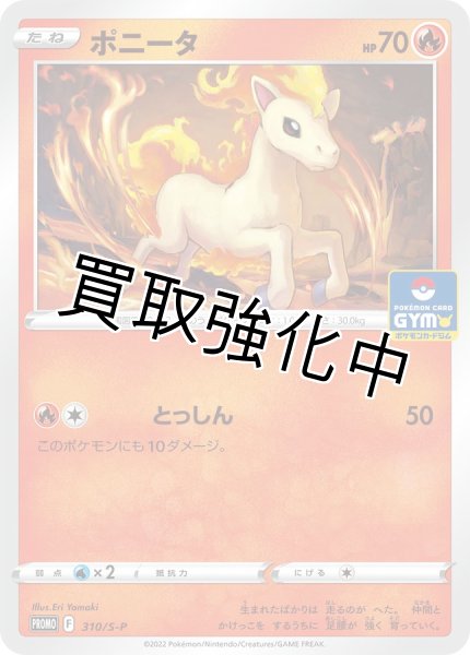 画像1: ポニータ【P】{310/S-P} [S-P] (1)