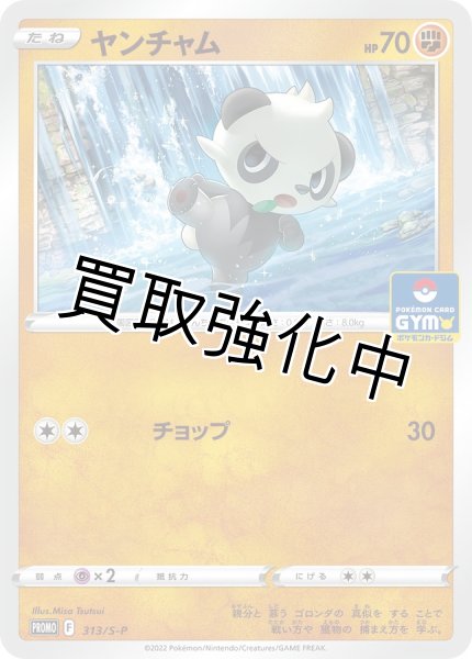 画像1: ヤンチャム【P】{313/S-P} [S-P] (1)