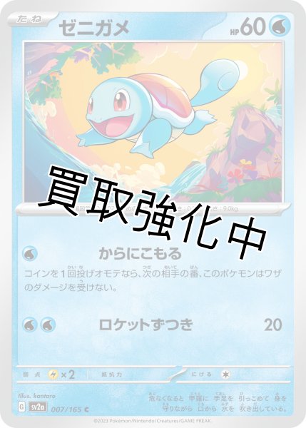 画像1: ゼニガメ【C】(007/165) (1)