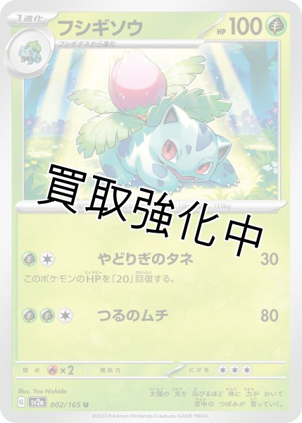 画像1: フシギソウ【U】(002/165) (1)