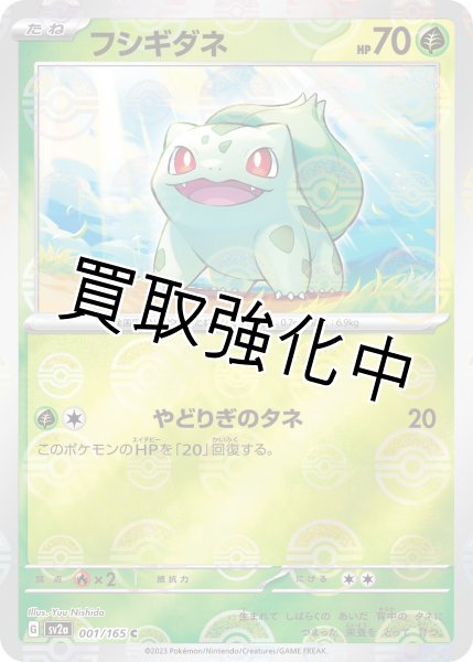 画像1: フシギダネ(ミラー)【C】(001/165) (1)