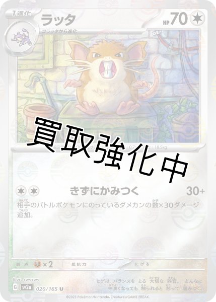 画像1: ラッタ(2)(ミラー)【U】(020/165) (1)