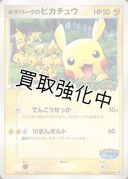 画像1: 【状態B】ポケパークのピカチュウ(未開封)【P】{043/PCG-P} [その他]【状態B】 (1)