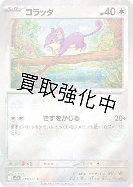 画像1: コラッタ(ミラー)【C】(019/165) (1)