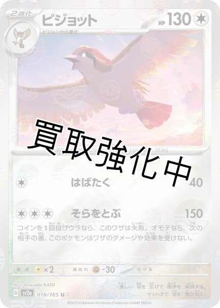 画像1: ピジョット(ミラー)【U】(018/165) (1)