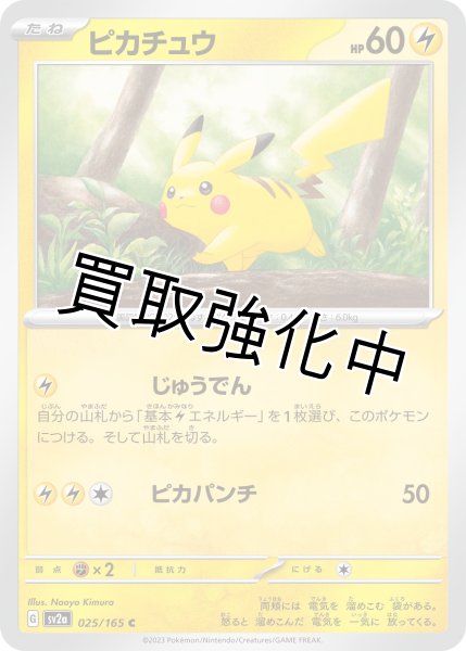 画像1: ピカチュウ【C】(025/165) (1)