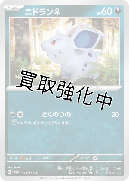 画像1: ニドラン♀【C】(029/165) (1)