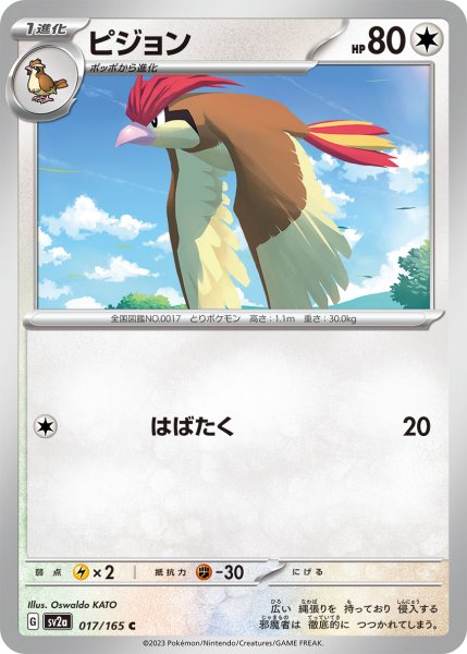 画像1: 【収録不問】ピジョン【はばたく】 (1)