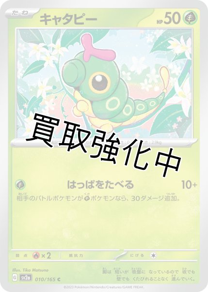 画像1: キャタピー【C】(010/165) (1)