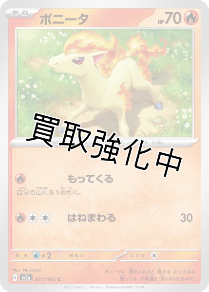 画像1: ポニータ【C】(077/165) (1)