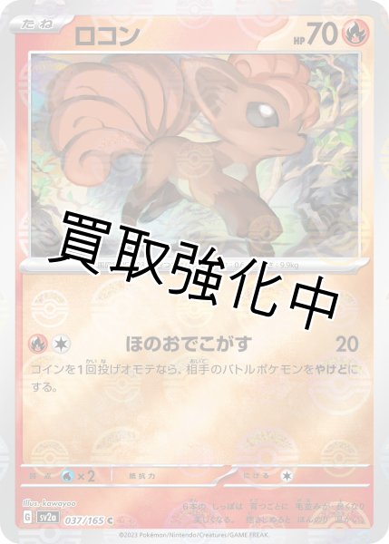 画像1: ロコン(ミラー)【C】(037/165) (1)