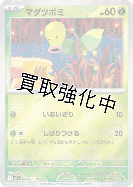 画像1: マダツボミ(ミラー)【C】(069/165) (1)