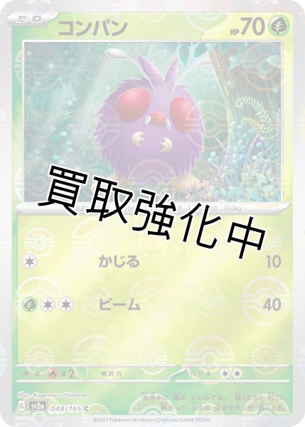 画像1: コンパン(ミラー)【C】(048/165) (1)