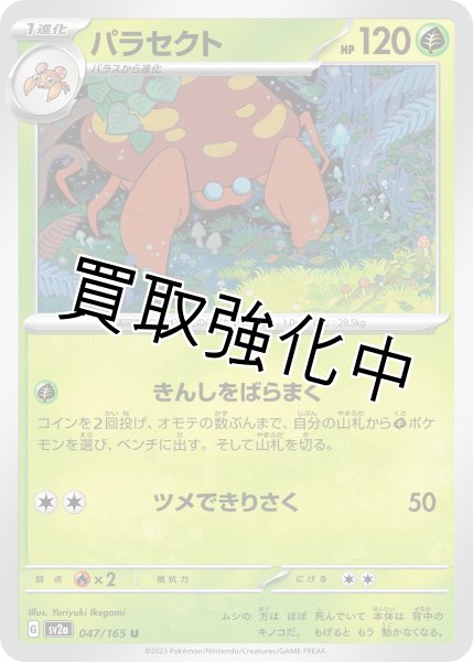 画像1: パラセクト【U】(047/165) (1)