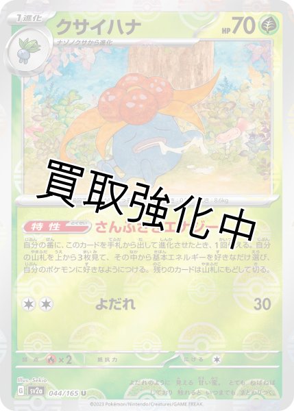 画像1: クサイハナ(1)(ミラー)【U】(044/165) (1)