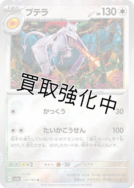 画像1: プテラ(ミラー)【R】(142/165) (1)