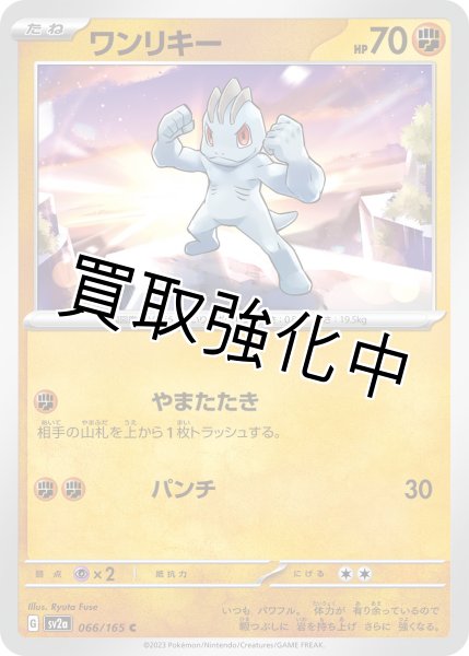 画像1: ワンリキー【C】(066/165) (1)