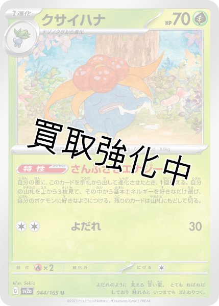 画像1: 【収録不問】クサイハナ【U】 (1)