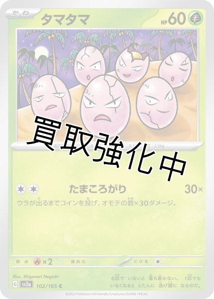 画像1: タマタマ【C】(102/165) (1)