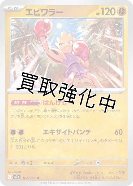 画像1: エビワラー【U】(0107/165) (1)