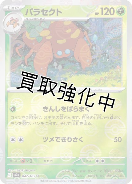 画像1: パラセクト(ミラー)【U】(047/165) (1)