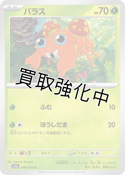 画像1: パラス【C】(046/165) (1)