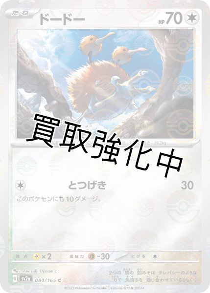 画像1: ドードー(2)(ミラー)【C】(084/165) (1)