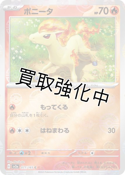 画像1: ポニータ(ミラー)【C】(077/165) (1)