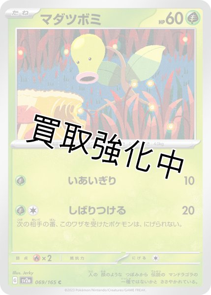 画像1: マダツボミ【C】(069/165) (1)