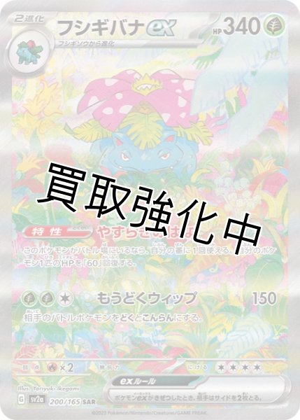 画像1: フシギバナex【SAR】(003/165) SA2a (1)