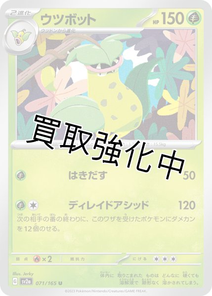 画像1: ウツボット【U】(071/165) (1)