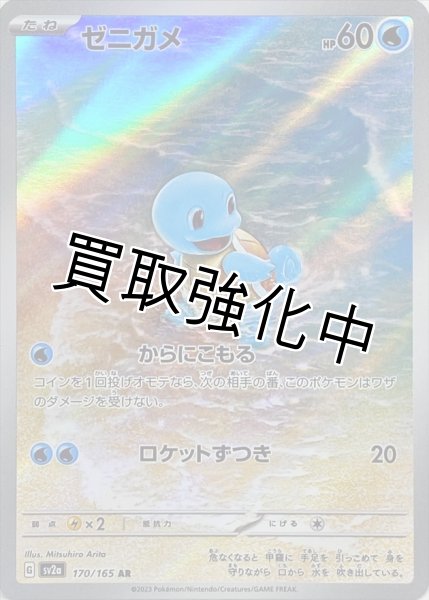 画像1: ゼニガメ【AR】(170/165) (1)