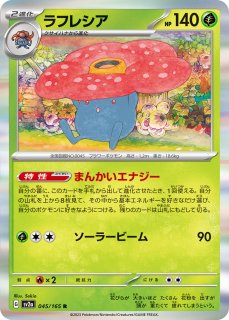 ポケモンカードゲーム - カードショップはんじょう (Page 38)