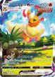 画像1: 【PSA10鑑定済み】 ブースターVMAX (SA仕様)【P】{186/S-P} 夏ポケカ (1)